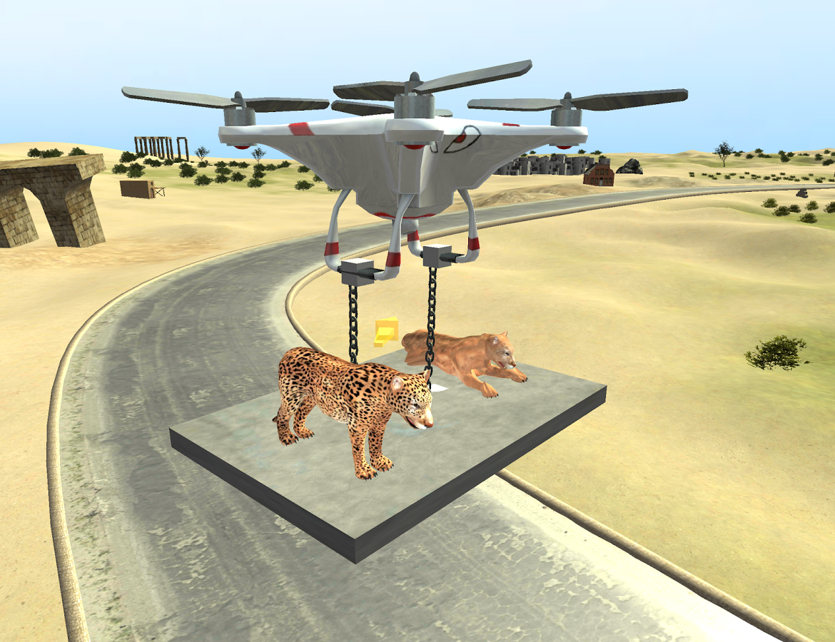 RC Drone Parking 3D Simulator截图1