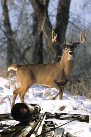 DEER SEASON HUNTING 2014截图3