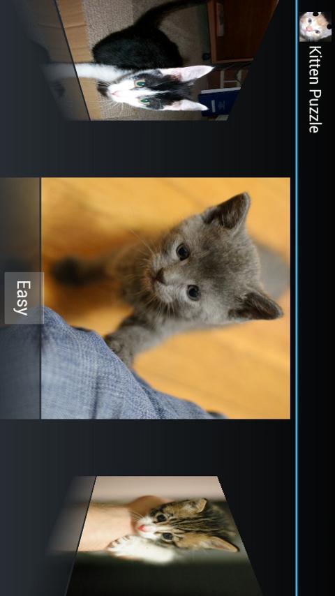 Cute Kittens Puzzle截图1