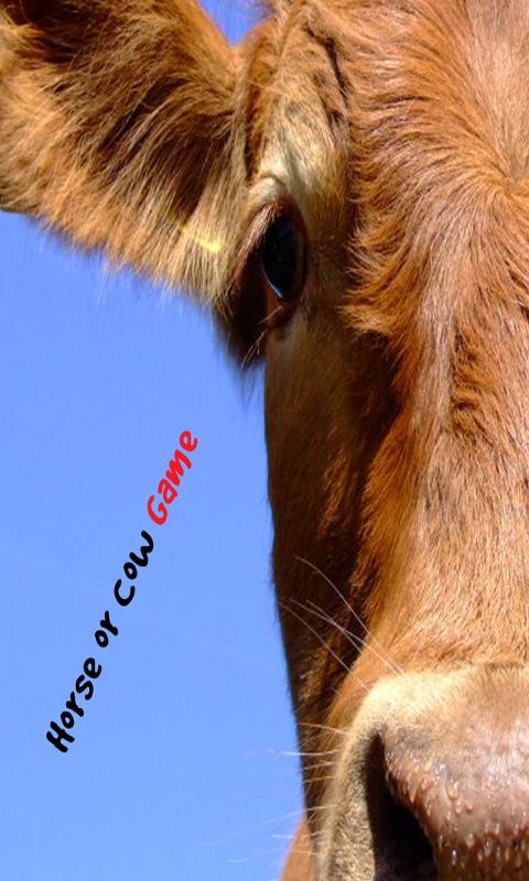 Horse Or Cow Meat Game截图3