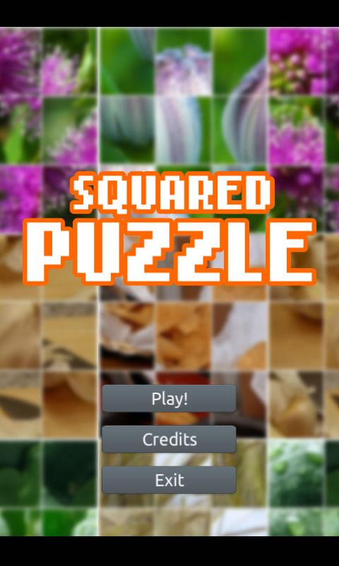 Squared Puzzle截图1