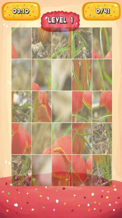 Mushrooms Jigsaw Puzzles截图5