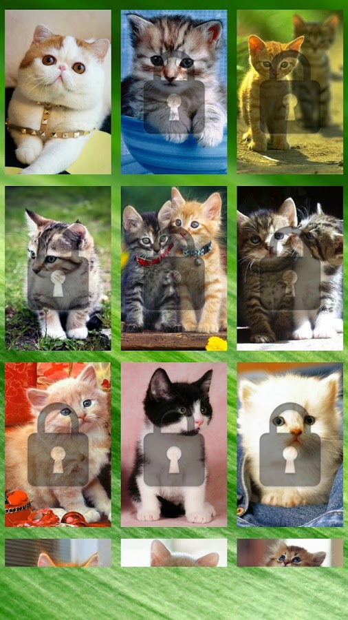 Cute Cat Swap Puzzle for Kids截图1