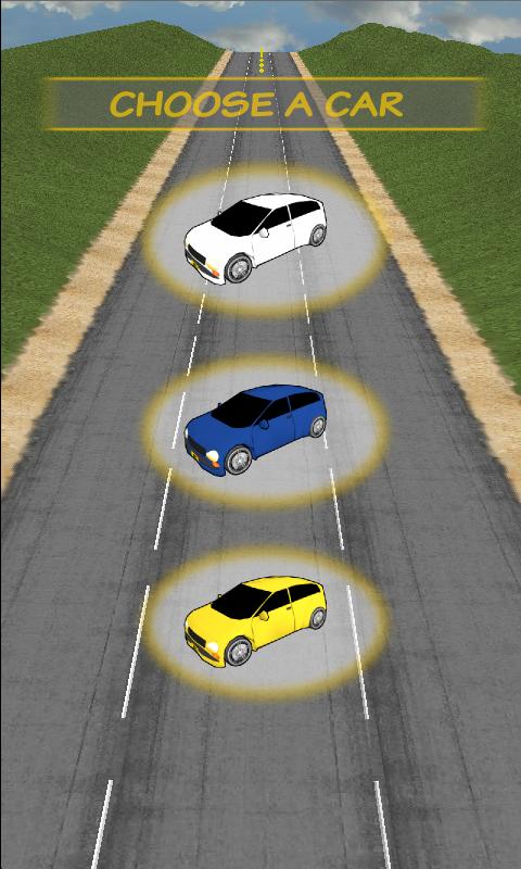 Speed Up Car Driving 3D截图3