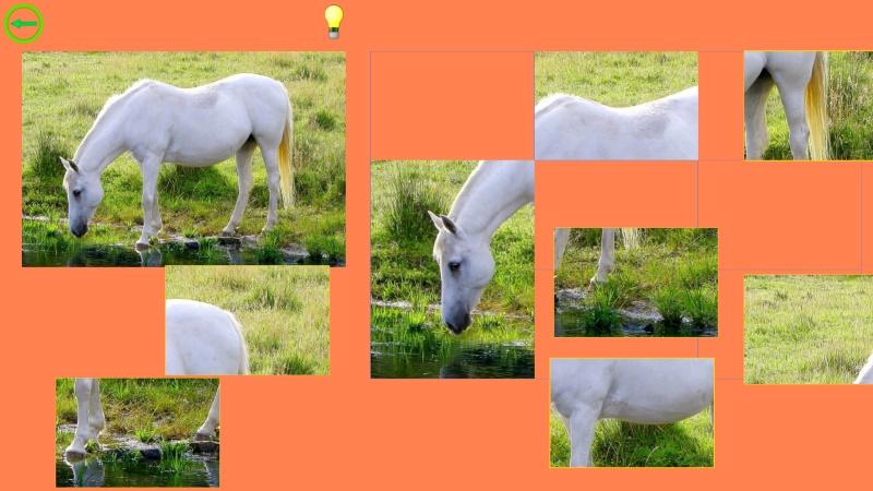 Horse Puzzle For Kids截图3