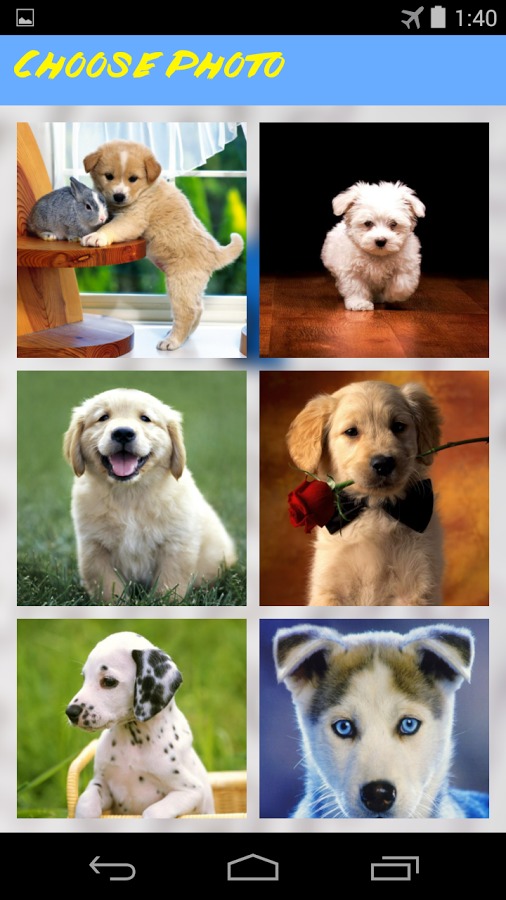 Puppies Jigsaw Puzzles截图1