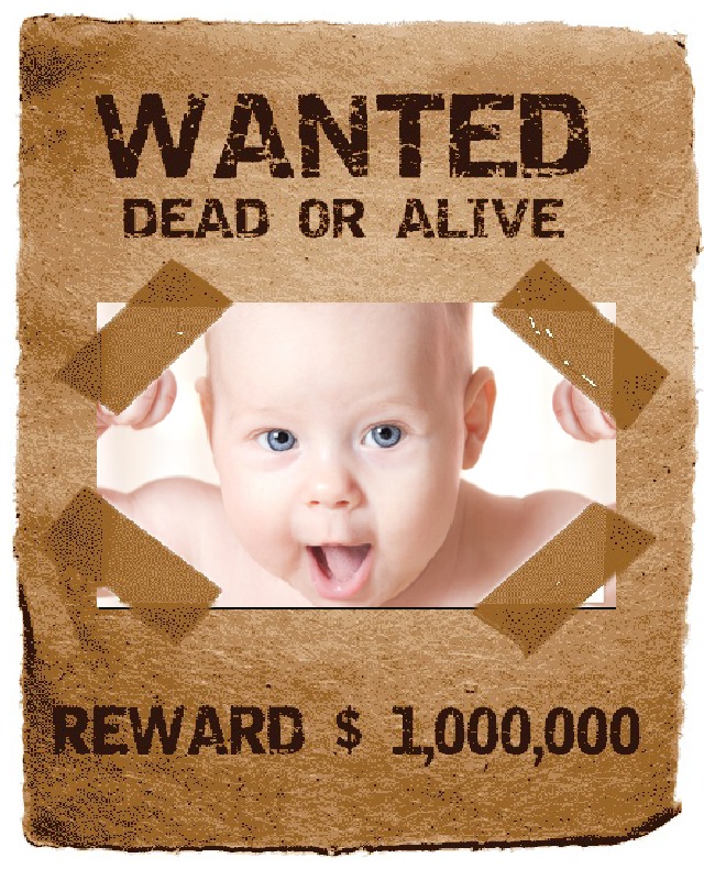 Wanted Poster截图3