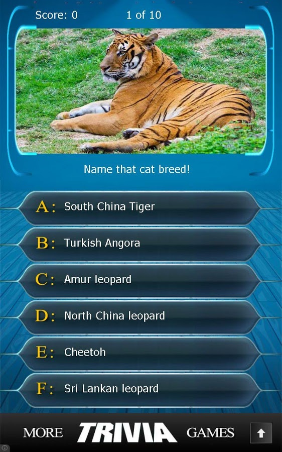 Name that Cat Breed Trivia截图4