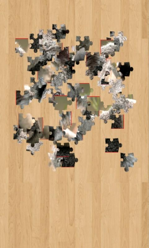 Jigsaw Animal For Kids截图5