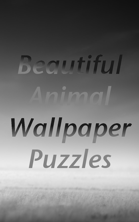 Beautiful Animal Puzzles截图1