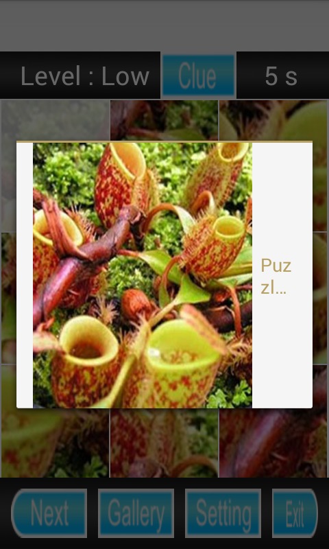 Flora Fauna Puzzle截图2