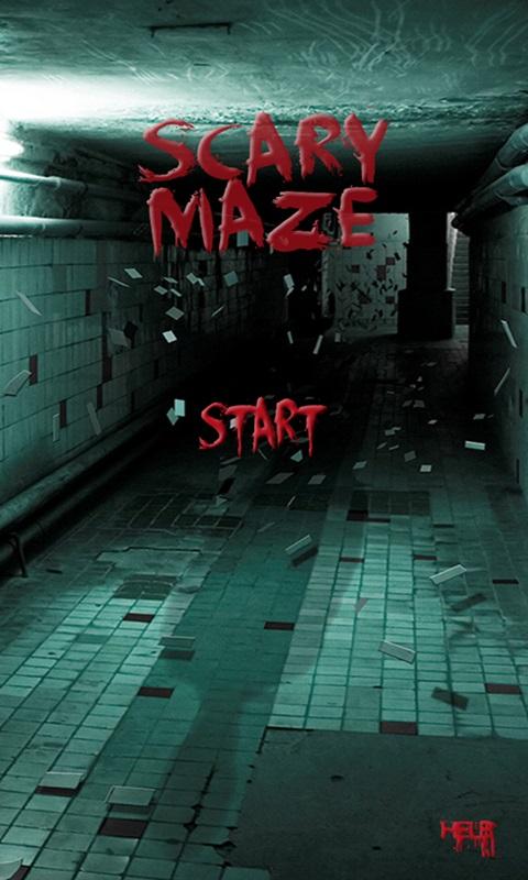 Scary Maze SG截图2