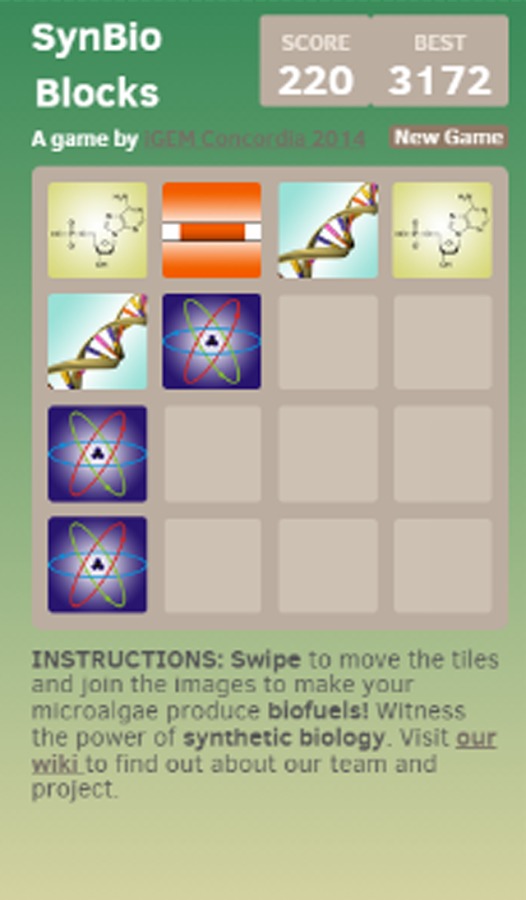 iGEM Concordia SynBio-Blocks截图1