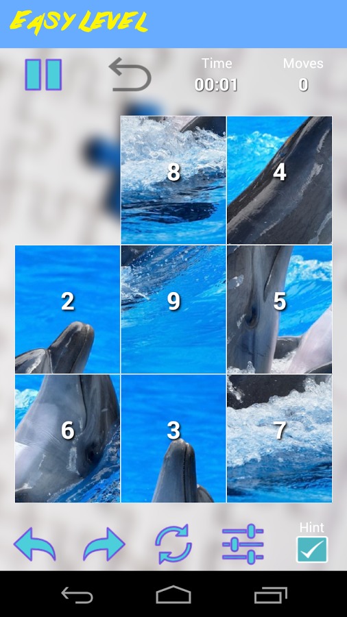 Dolphins Jigsaw Puzzle截图1