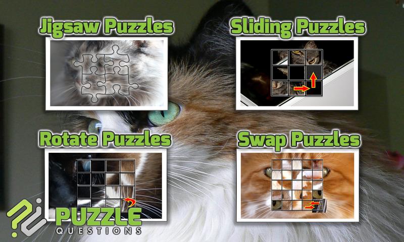 Free Cute Cats Puzzles截图3