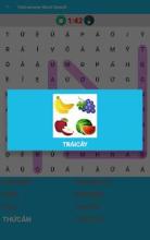 Vietnamese Word Search Game截图2