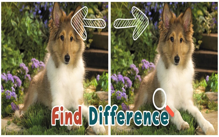 Find 5 Differences : Puppies截图1