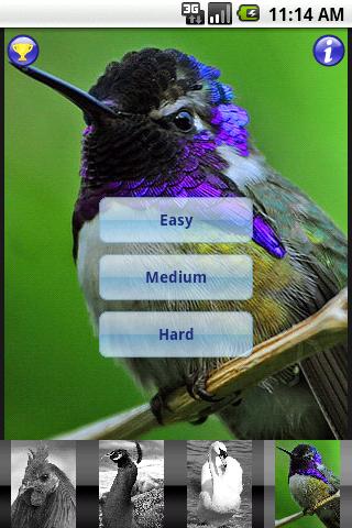 Slide Mania - Birds截图1