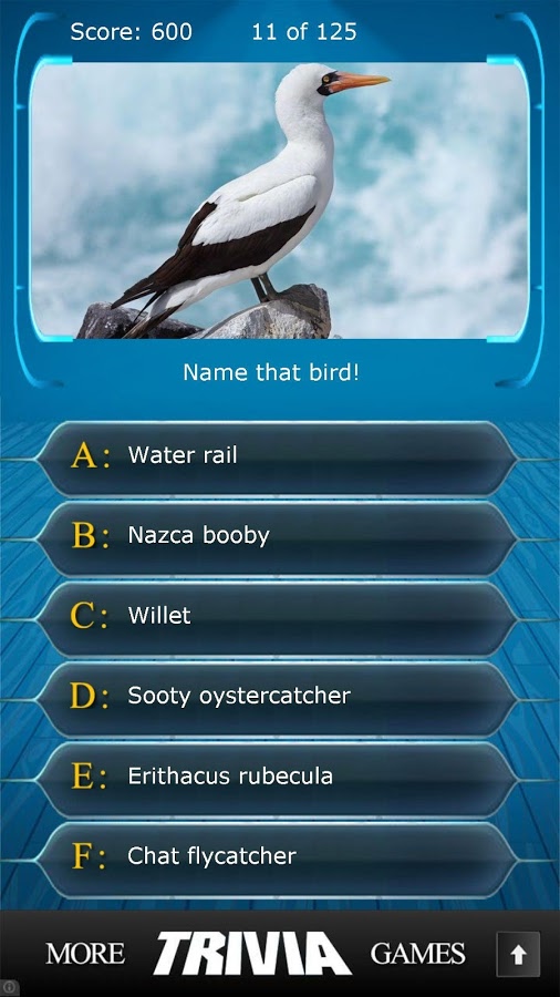 Name that Bird Trivia截图5