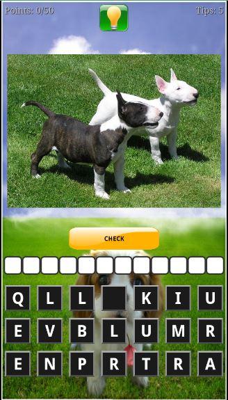 Puppy Dog Breeds Quiz截图3