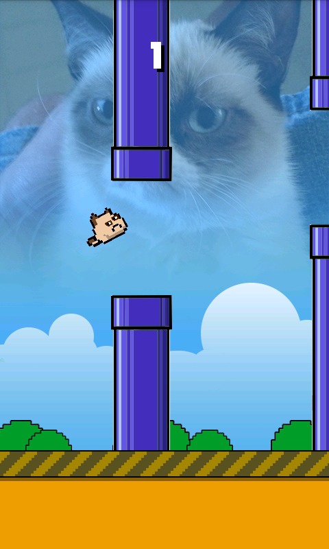 Flappy Grumpy Cat截图4