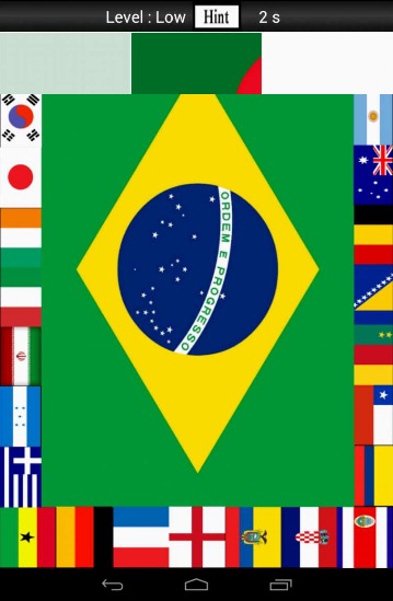 Flagz World Cup 2014 Puzzle截图4