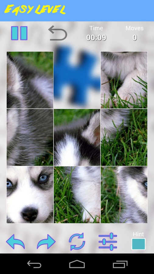 Husky Jigsaw Puzzle截图4