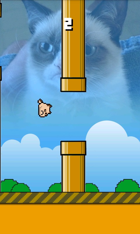 Flappy Grumpy Cat截图3