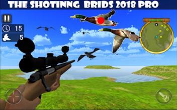 shoting brids 2018截图1