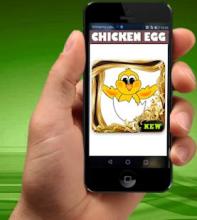 Chicken Egg Basket Games 2018截图5