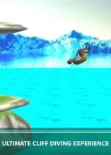 Cliff Flip Diving 3D - Swimming Pool Flip Master截图1