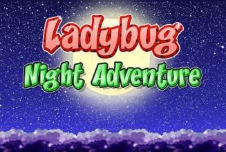 Ladybug Miraculous Night Adventure截图5