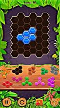 Jungle Block Puzzle - Free Game截图1