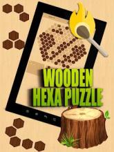 Wooden Hexa Puzzle截图5