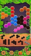 Jungle Block Puzzle - Free Game截图4