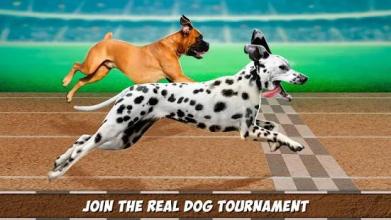 Virtual Derby Dog Racing Championship截图4