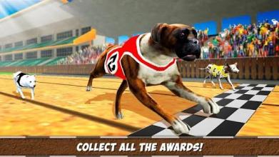 Virtual Derby Dog Racing Championship截图1