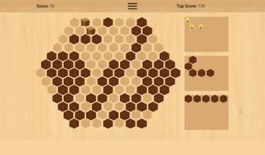 Wooden Hexa Puzzle截图2