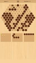 Wooden Hexa Puzzle截图3