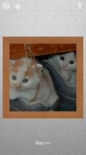 Cats Puzzles - 100 Pictures截图4