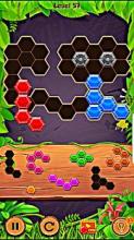 Jungle Block Puzzle - Free Game截图5