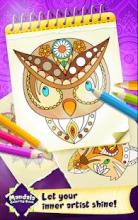 Mandala Coloring Pages 2018截图3