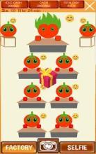 Tomato My Friend截图5