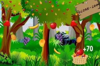 Fruit Catcher Catch截图2