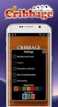 Cribbage 27截图2