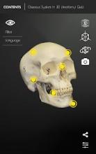 Osseous System in 3D (Anatomy) Quiz截图2