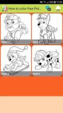 How to color Paw Patrol coloring book For Adult截图1