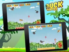 Duck Hunting 2D: Adventure截图3