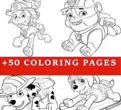 How to color Paw Patrol coloring book For Adult截图3