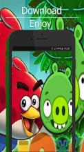 angry bad birds piggies lock wallpapers截图1